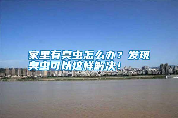 家里有臭蟲怎么辦?發現臭蟲可以這樣解決!