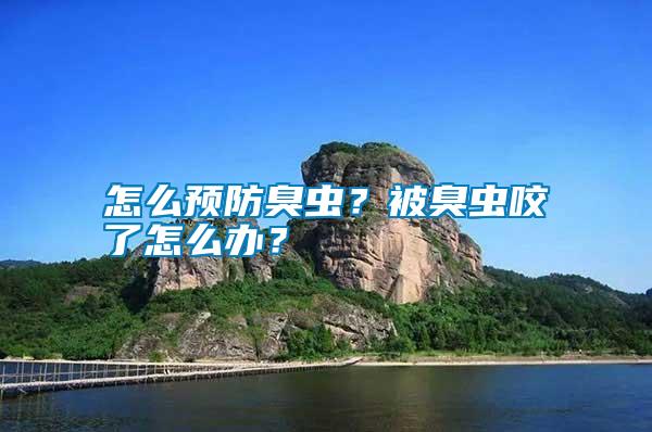 怎么預防臭蟲?被臭蟲咬了怎么辦?