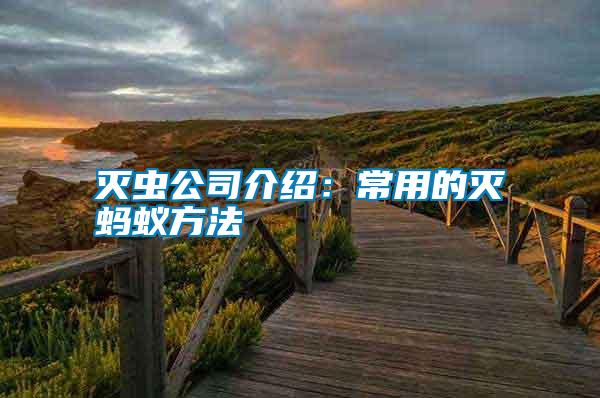 滅蟲公司介紹:常用的滅螞蟻方法