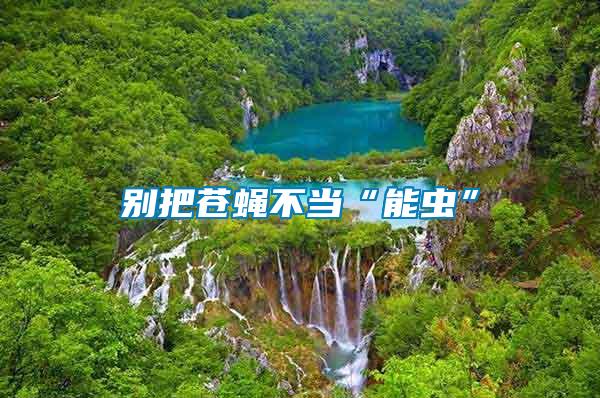 別把蒼蠅不當“能蟲”