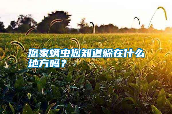 您家螨蟲您知道躲在什么地方嗎？