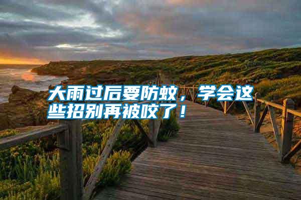 大雨過后要防蚊,學會這些招別再被咬了!