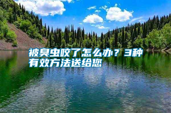 被臭蟲咬了怎么辦？3種有效方法送給您