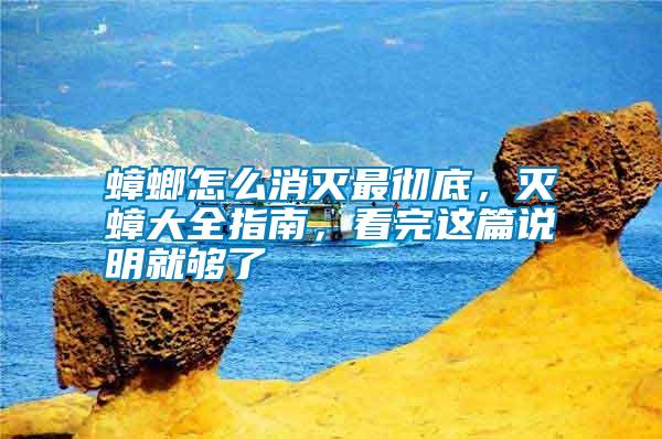 蟑螂怎么消滅最徹底,滅蟑大全指南,看完這篇說明就夠了