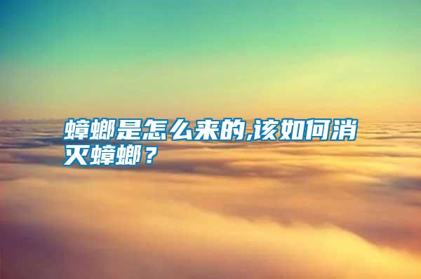 蟑螂是怎么來的,該如何消滅蟑螂？