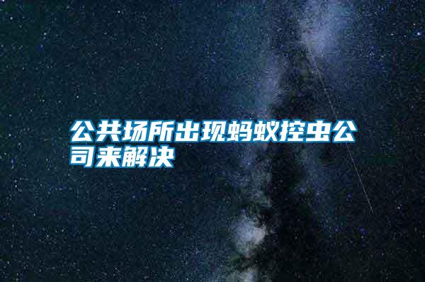 公共場(chǎng)所出現(xiàn)螞蟻控蟲(chóng)公司來(lái)解決