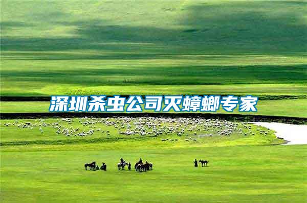 深圳殺蟲(chóng)公司滅蟑螂專(zhuān)家