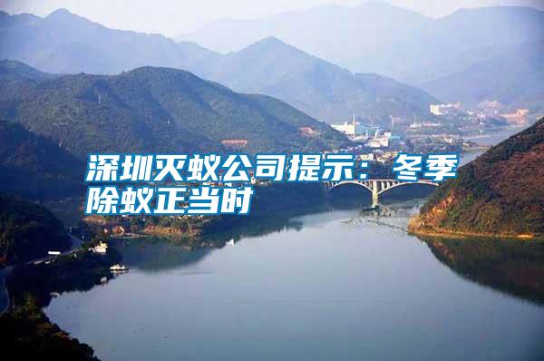 深圳滅蟻公司提示:冬季除蟻正當時