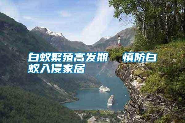 白蟻繁殖高發期 慎防白蟻入侵家居