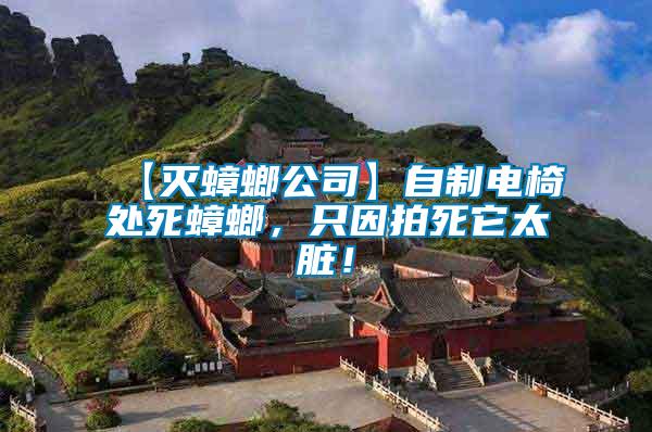 【滅蟑螂公司】自制電椅處死蟑螂,只因拍死它太臟!