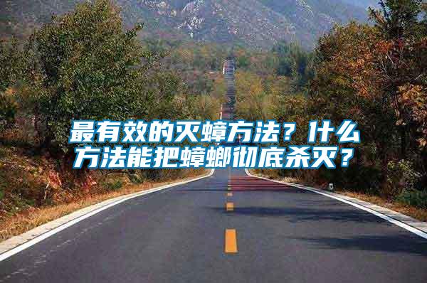 最有效的滅蟑方法？什么方法能把蟑螂徹底殺滅？