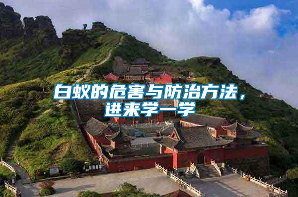 白蟻的危害與防治方法，進(jìn)來學(xué)一學(xué)