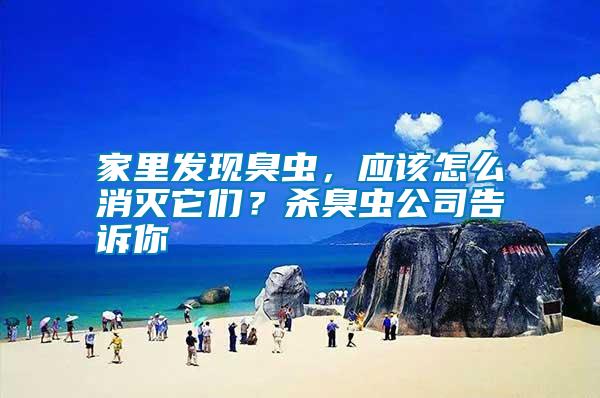 家里發現臭蟲,應該怎么消滅它們?殺臭蟲公司告訴你