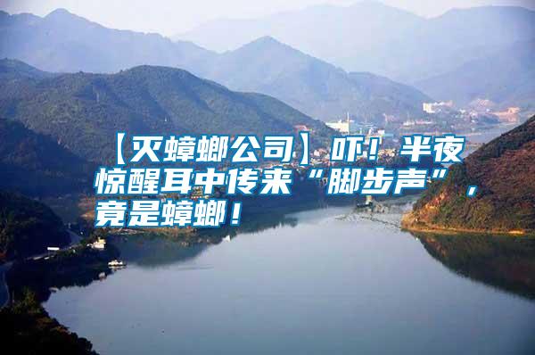 【滅蟑螂公司】嚇！半夜驚醒耳中傳來“腳步聲”，竟是蟑螂！