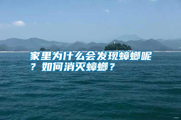 家里為什么會發現蟑螂呢？如何消滅蟑螂？