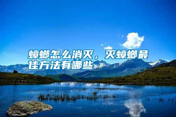 蟑螂怎么消滅，滅蟑螂最佳方法有哪些