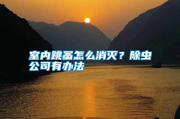 室內跳蚤怎么消滅?除蟲公司有辦法