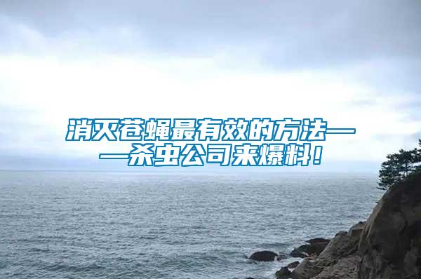 消滅蒼蠅最有效的方法——殺蟲公司來爆料！