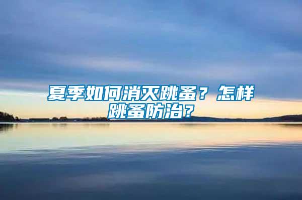夏季如何消滅跳蚤？怎樣跳蚤防治？