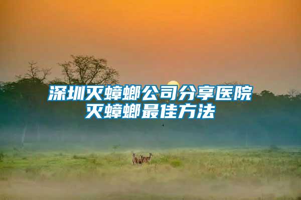 深圳滅蟑螂公司分享醫(yī)院滅蟑螂最佳方法