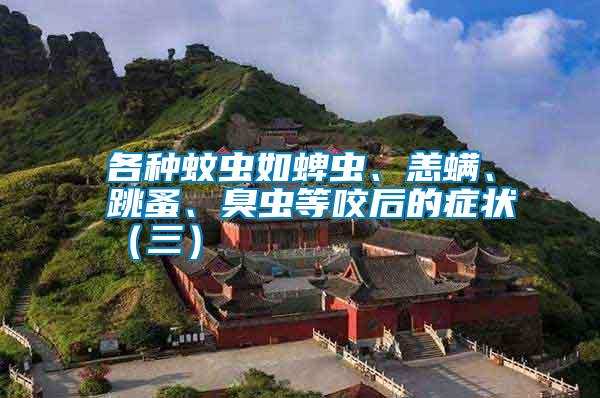 各種蚊蟲如蜱蟲、恙螨、跳蚤、臭蟲等咬后的癥狀(三)