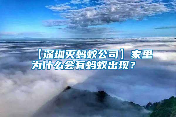 【深圳滅螞蟻公司】家里為什么會有螞蟻出現(xiàn)?