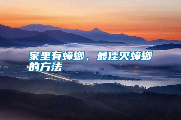 家里有蟑螂,最佳滅蟑螂的方法