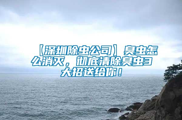 【深圳除蟲公司】臭蟲怎么消滅，徹底清除臭蟲3大招送給你！