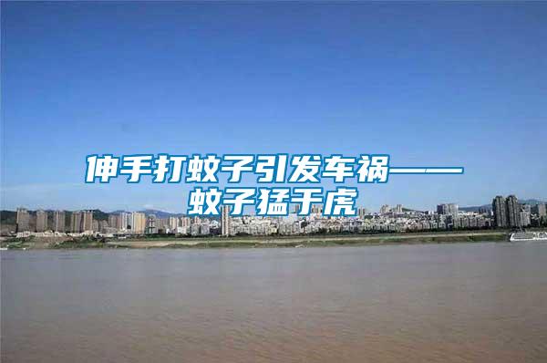 伸手打蚊子引發(fā)車禍——蚊子猛于虎