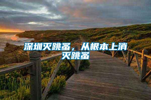 深圳滅跳蚤,從根本上消滅跳蚤