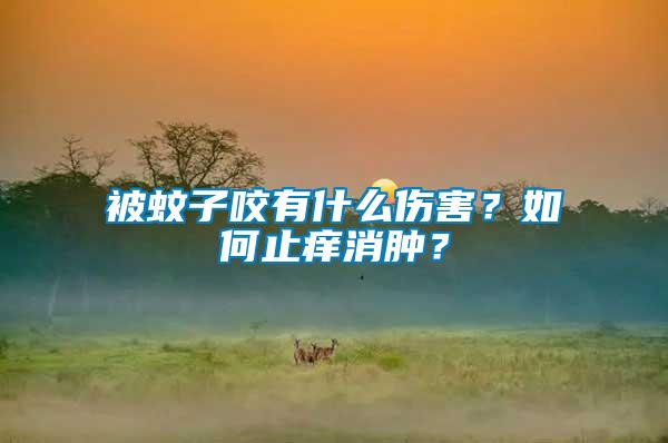 被蚊子咬有什么傷害？如何止癢消腫？