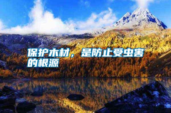 保護木材，是防止受蟲害的根源