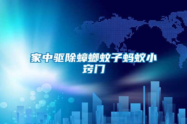 家中驅除蟑螂蚊子螞蟻小竅門