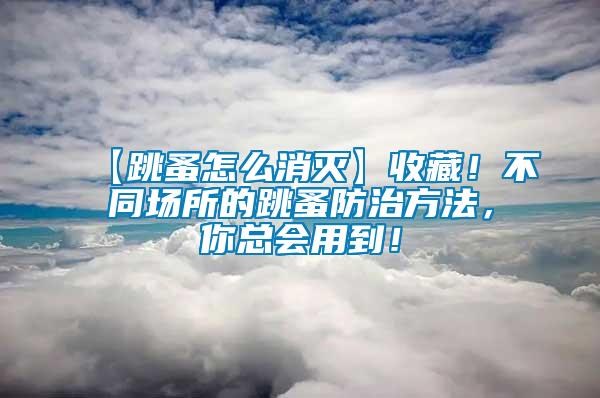 【跳蚤怎么消滅】收藏！不同場所的跳蚤防治方法，你總會用到！