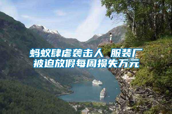 螞蟻肆虐襲擊人 服裝廠被迫放假每周損失萬(wàn)元