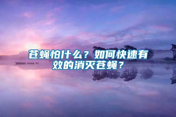 蒼蠅怕什么？如何快速有效的消滅蒼蠅？