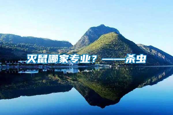 滅鼠哪家專業(yè)?——殺蟲