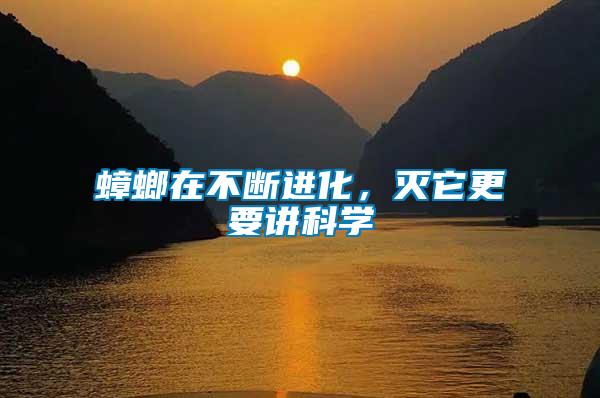 蟑螂在不斷進化,滅它更要講科學