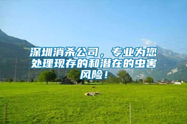 深圳消殺公司，專業為您處理現存的和潛在的蟲害風險！