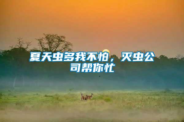 夏天蟲多我不怕,滅蟲公司幫你忙