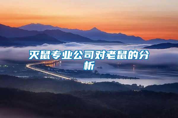 滅鼠專業公司對老鼠的分析