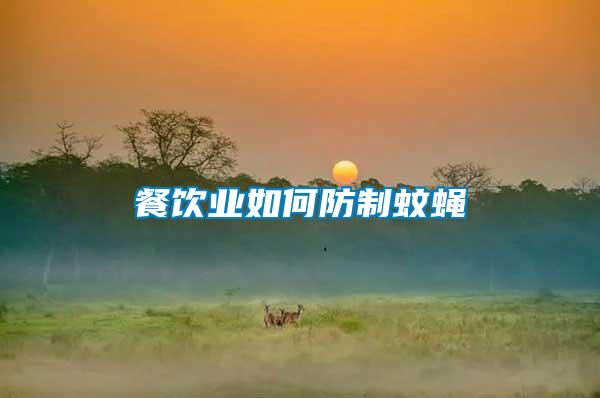 餐飲業如何防制蚊蠅