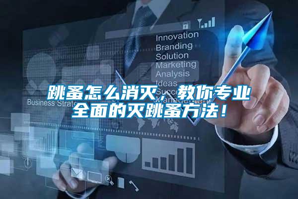 跳蚤怎么消滅,教你專業(yè)全面的滅跳蚤方法!