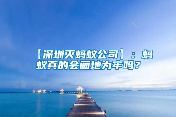 【深圳滅螞蟻公司】：螞蟻真的會畫地為牢嗎？