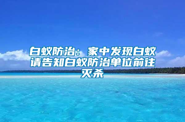 白蟻防治:家中發(fā)現(xiàn)白蟻請告知白蟻防治單位前往滅殺