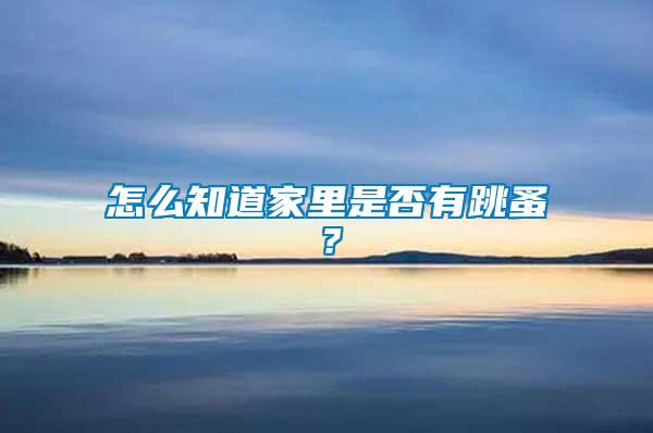 怎么知道家里是否有跳蚤？