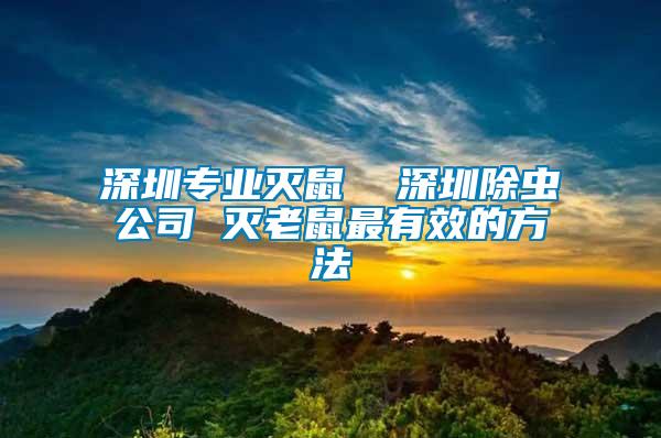 深圳專業(yè)滅鼠 深圳除蟲公司 滅老鼠最有效的方法