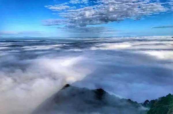 危害：“新四害”之首，已成為多種疾病的產生和傳播根源