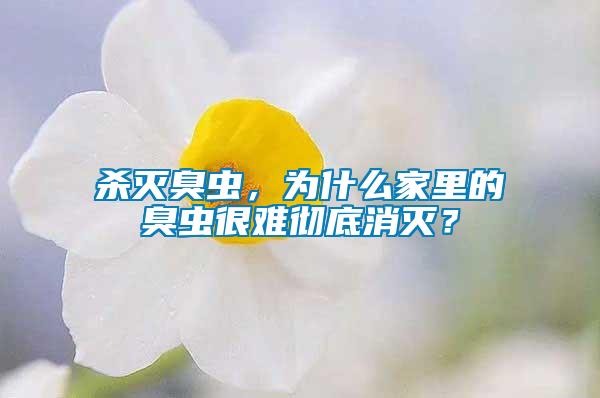 殺滅臭蟲(chóng),為什么家里的臭蟲(chóng)很難徹底消滅?