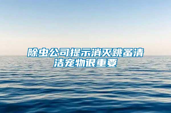 除蟲(chóng)公司提示消滅跳蚤清潔寵物很重要